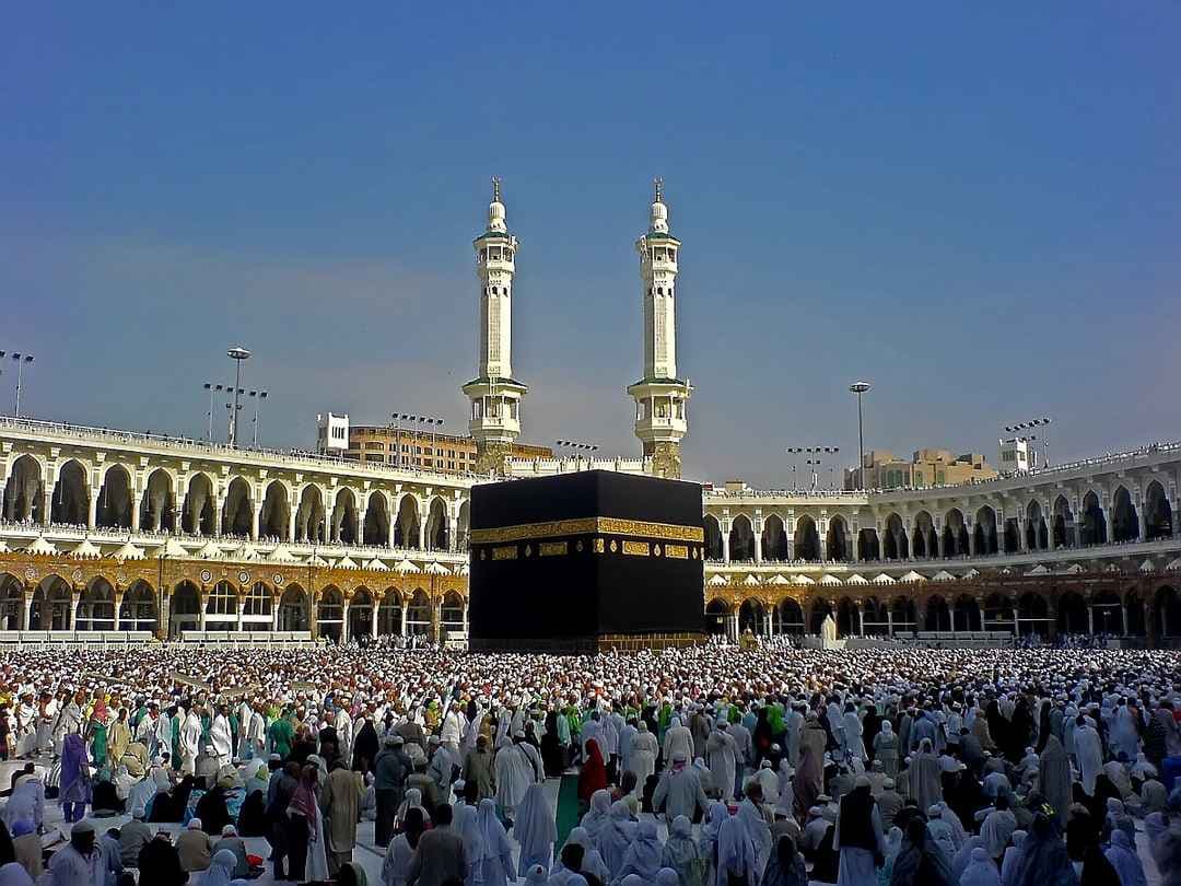 Our Pilgrims